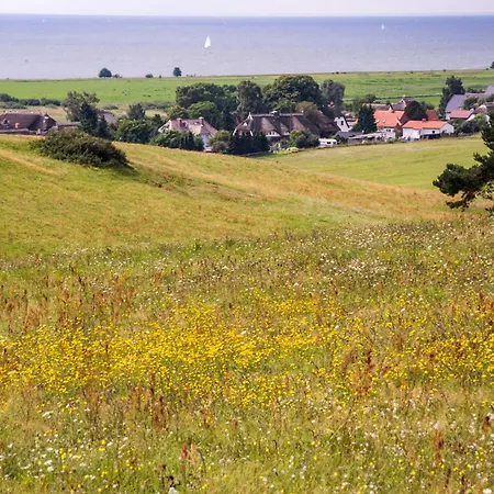 4 * آلتنكيرشن