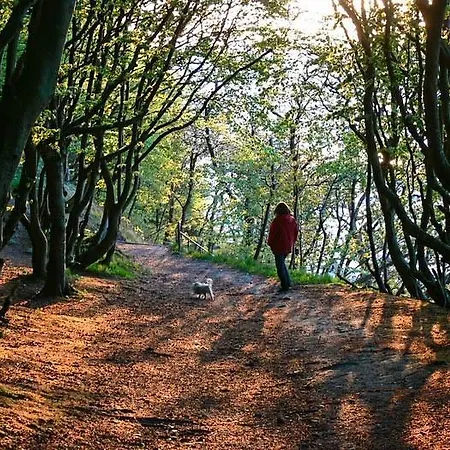 Lejlighed 4 Altenkirchen (Mecklenburg-Vorpommern)