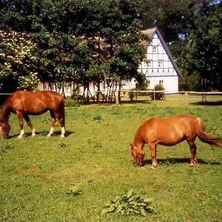 4 Lejlighed Altenkirchen (Mecklenburg-Vorpommern)