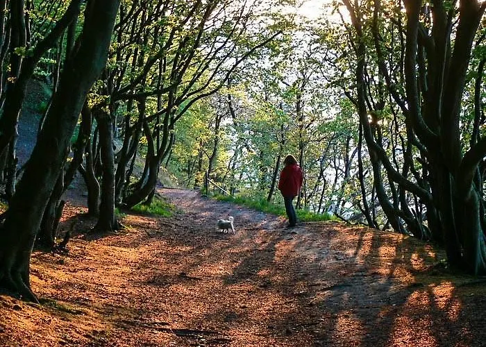 Апартаменты 4 Альтенкирхен